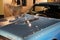 1967 Chevrolet CHEVELLE Base